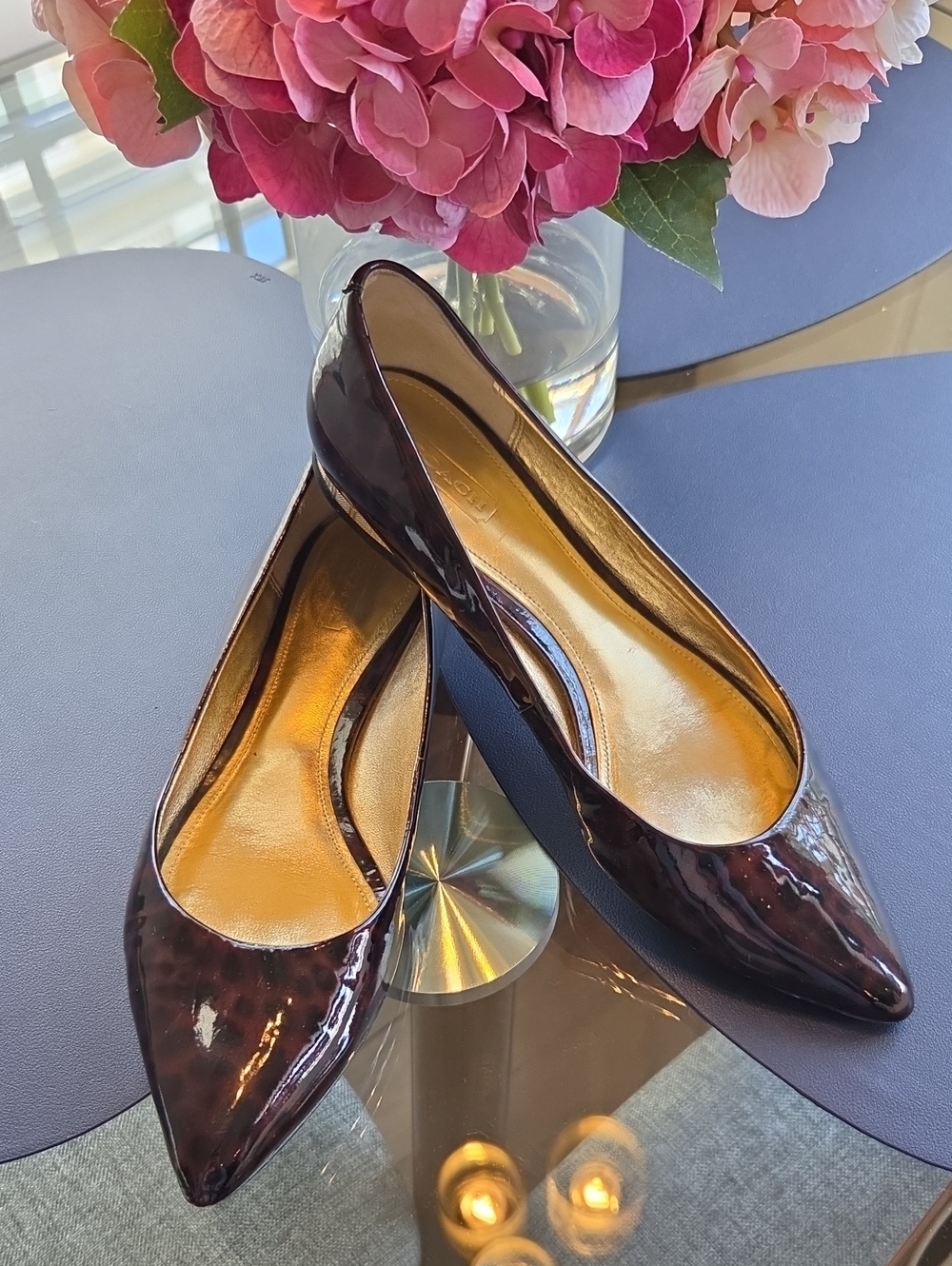 Coach Women’s Pointed Patent Flats in Dark Leopard